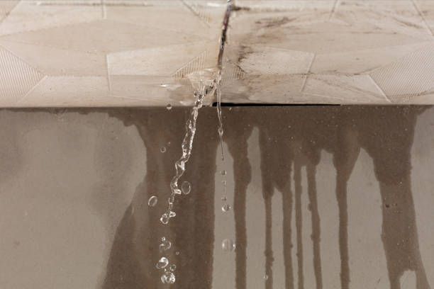 Professional Water Damage Repair technician working in Kingsbury, TX